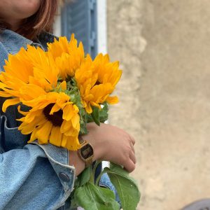 Les tournesols